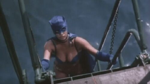 Batwoman13.jpg