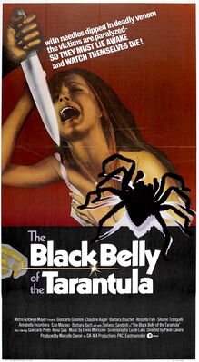 Black belly tarantula.jpg